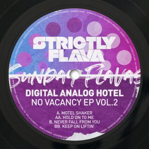 Download track Hold On To Me Digital Analog Hotel