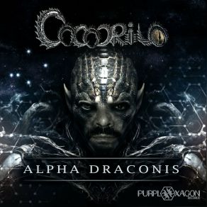 Download track Possible Contact (Original Mix) Cocodrilo