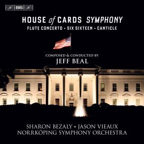 Download track 16. Flute Concerto - I. — Norrköping Symphony Orchestra