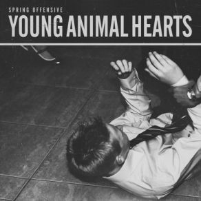 Download track Young Animal Hearts Spring Offensive