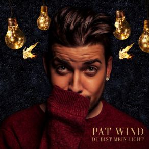 Download track Du Bist Mein Licht Pat Wind