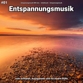 Download track Entspannungsmusik Pt. 88 Entspannungsmusik