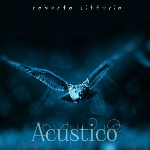 Download track Acustico 01 Roberto Citterio