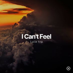 Download track I Can't Feel (Radio Edit) Lucid Trip