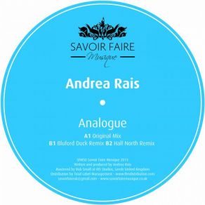 Download track Analogue (Hall North Remix) Andrea Rais