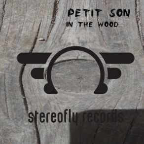 Download track In The Wood Son Petit