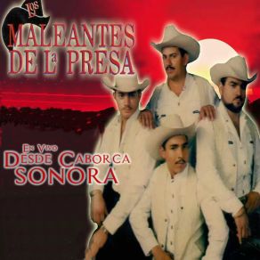 Download track El Cajoncito (En Vivo) Los Maleantes De La Presa