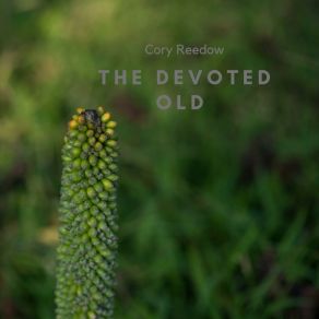 Download track The Devoted Old Cory Reedow