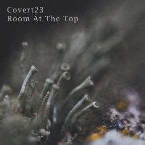 Download track Room At The Top (Original Mix) Covert23