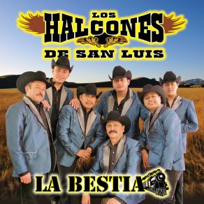 Download track Te Pudiera Decir Los Halcones De San Luis