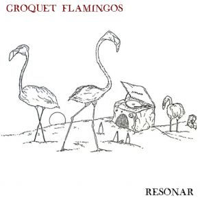 Download track Phoenicoparrus Jamesi Croquet Flamingos