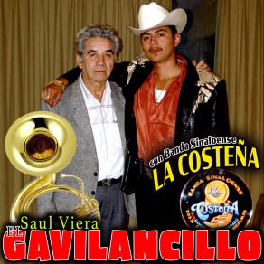 Download track Los Sinaloenses Saul Viera 