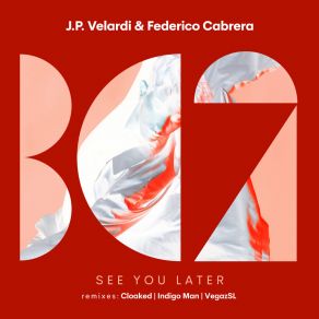 Download track See You Later (VegaZ SL Remix) CloakedVegaZ SL