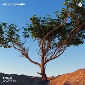 Download track Bliss Ritual, Alpha Rhythm