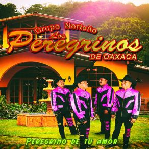 Download track Un Día Nuevo Los Peregrinos De Oaxaca