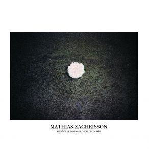 Download track Kameleont Mathias Zachrisson