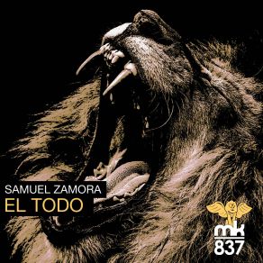 Download track El Todo (Dave Richards Remix) Samuel Zamora