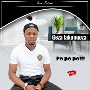 Download track Anginamali Igeza LakoNgoza