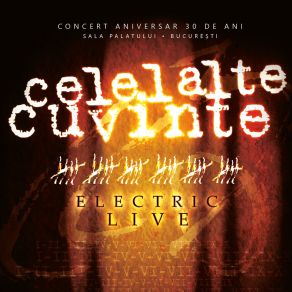 Download track Oglinda (Live) Celelalte Cuvinte