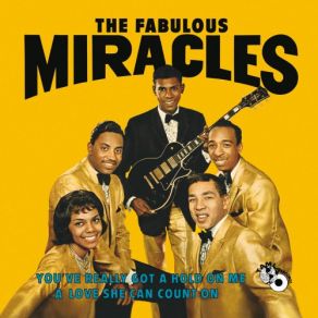 Download track You'veReally Got A Hold On Me The Miracles