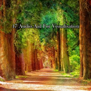 Download track Lost In The Forest Asian Zen Spa Music Meditation