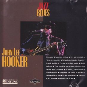 Download track What Do You Say John Lee Hooker