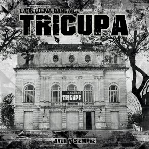 Download track Mírate La Pequeña Banda De Trícupa