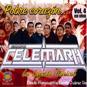 Download track Que Te Vaya Bien (En Vivo) Grupo Celemarh