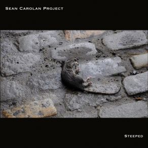 Download track Stop Dreaming Sean Carolan Project