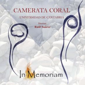 Download track Northern Lights Pepe Santos, Camerata Coral Universidad De Cantabria