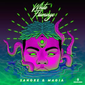 Download track Sangre Y Magia (Original Mix) White Flamingo