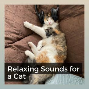 Download track To Give Your Pet A Sound Sleep Music For Cats Peace
