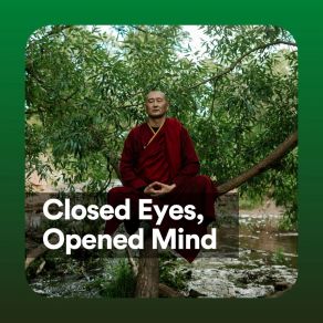 Download track Closed Eyes, Opened Mind Tranquility Spree