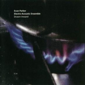 Download track Travel In The Homeland Evan Parker