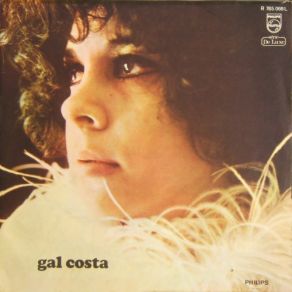 Download track Lost In The Paradise Gal Costa