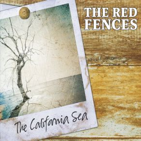 Download track King Of No Tomorrow The Red Fences