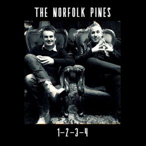 Download track Down The Mountain The Norfolk Pines