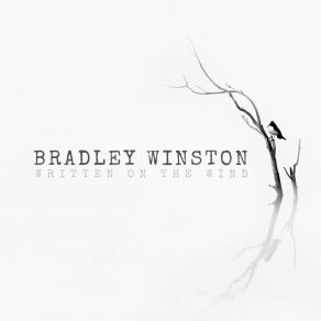 Download track Written On The Wind Bradley Winston