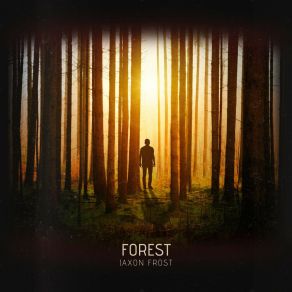 Download track Forest (Radio Edit) Jaxon Frost