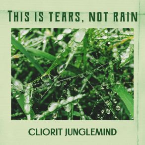 Download track In A Summer Haze Cliorit Junglemind