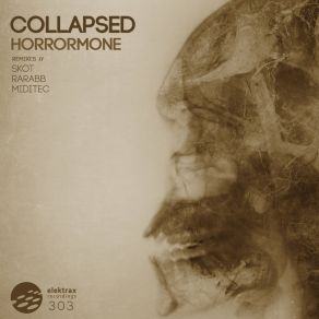 Download track Horrormone (Miditec Remix) Collapsed