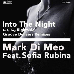 Download track Into The Night Sofia RubinaΟΡΓΑΝΙΚΟ