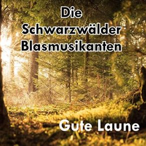 Download track Promille-Polka Die Schwarzwälder Blasmusikanten