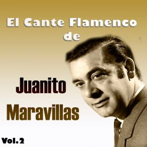 Download track Más Que Un Potro Desbocao Juanito Maravillas