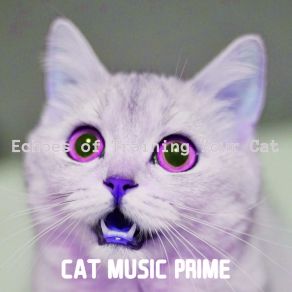 Download track Smart Ambiance For Cats Cat Music Prime