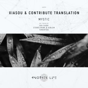 Download track Mystic Contribute Translation