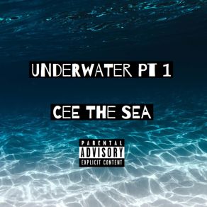 Download track Insane Cee The Sea