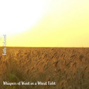 Download track Whispers Of Wind In A Wheat Field, Pt. 11 Steve Brassel