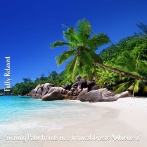 Download track Swaying Palm Fronds In A Tropical Breeze Ambience, Pt. 9 Steve Brassel