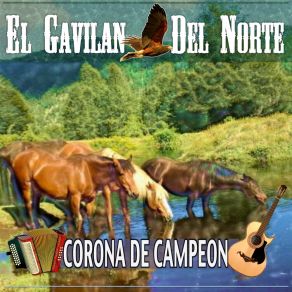 Download track A La Sombra De Un Huizache El Gavilan Del Norte